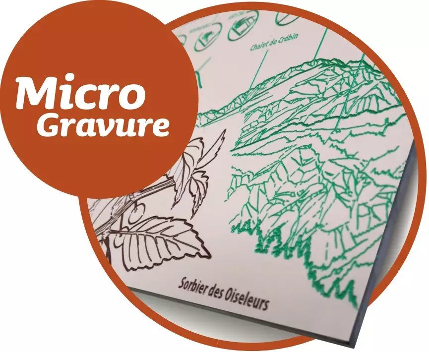 Microgravure